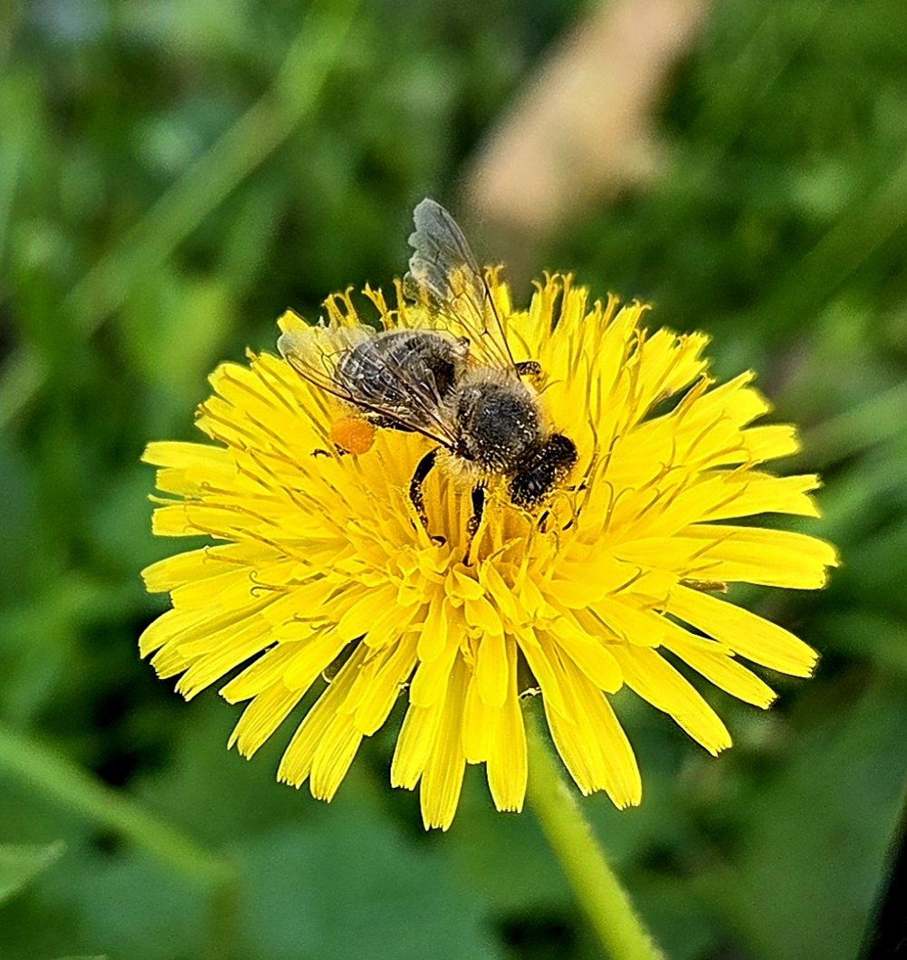 Ancestry Roads tweet media