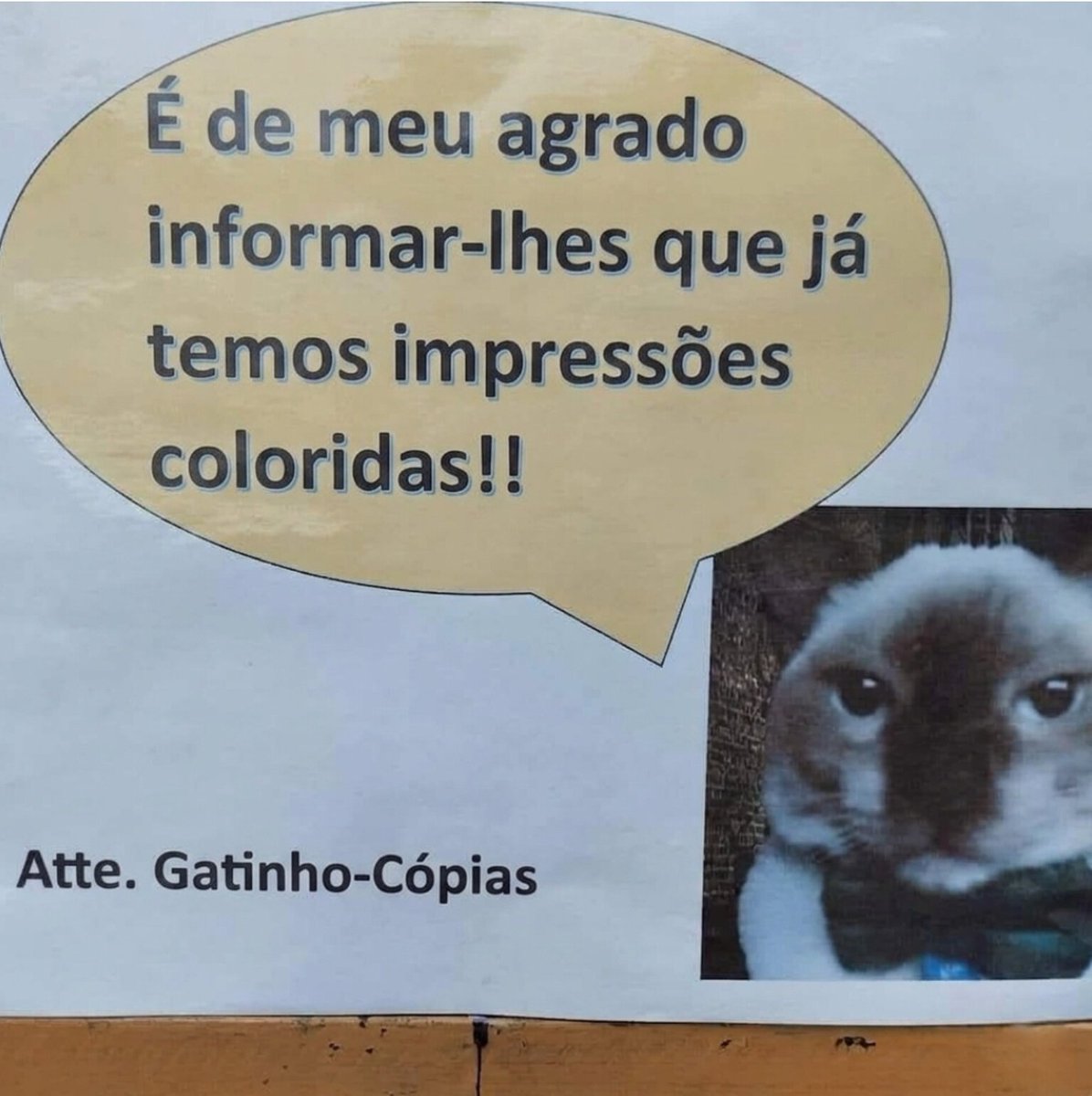 Filosofia Moderna (@filosofiamderna) on Twitter photo 