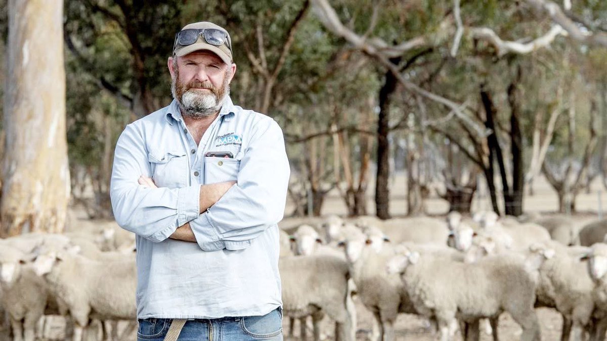 Jill Marinelli tweet media