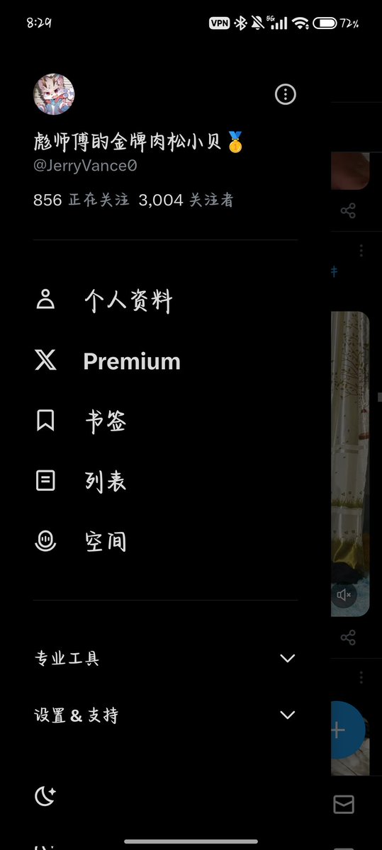 彪师傅的金牌肉松小贝🥇 tweet media