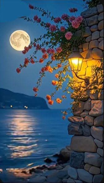 Francisca Cosimo tweet media