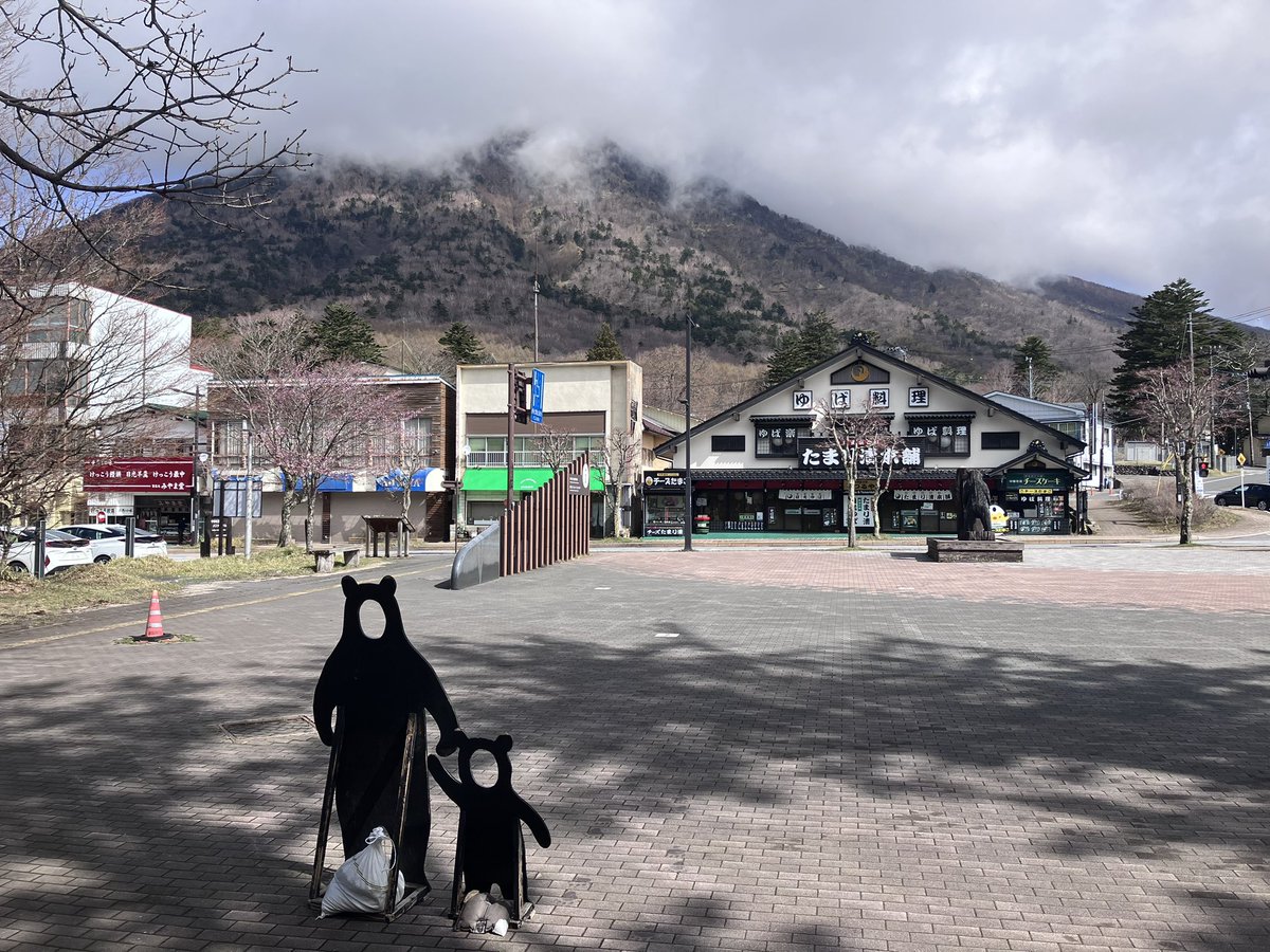 日光自然博物館 tweet media