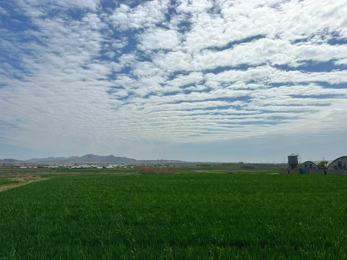 Boooo波妞! tweet media