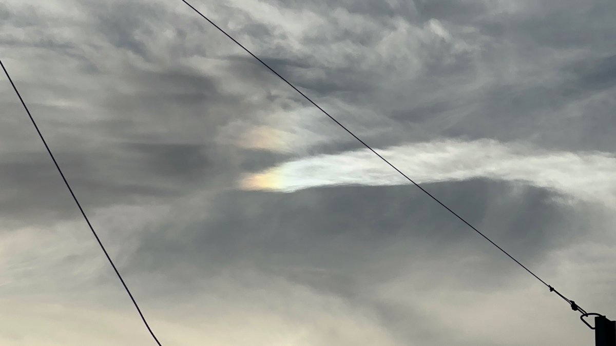 Boooo波妞! tweet media