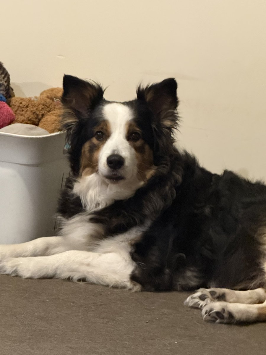 Julie Lowe 🏴󠁧󠁢󠁥󠁮󠁧󠁿🏴󠁧󠁢󠁥󠁮󠁧󠁿 tweet media