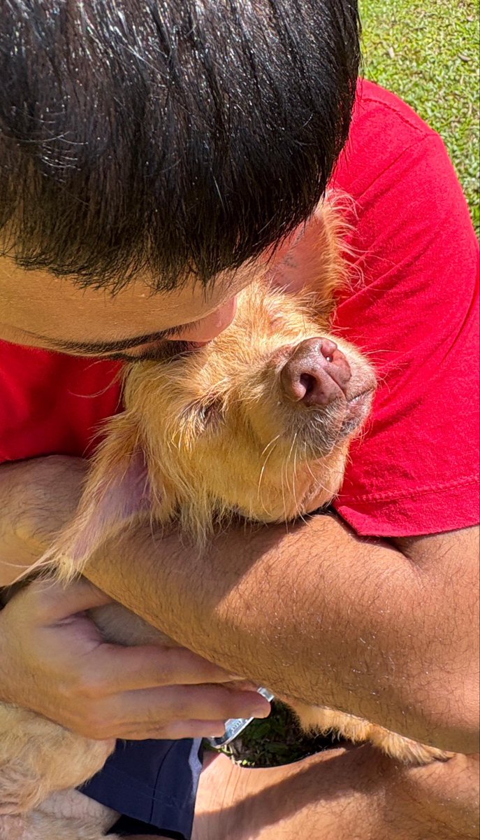 Happy Doggo Thailand tweet media