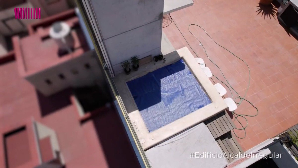 Salem The Cat tweet media