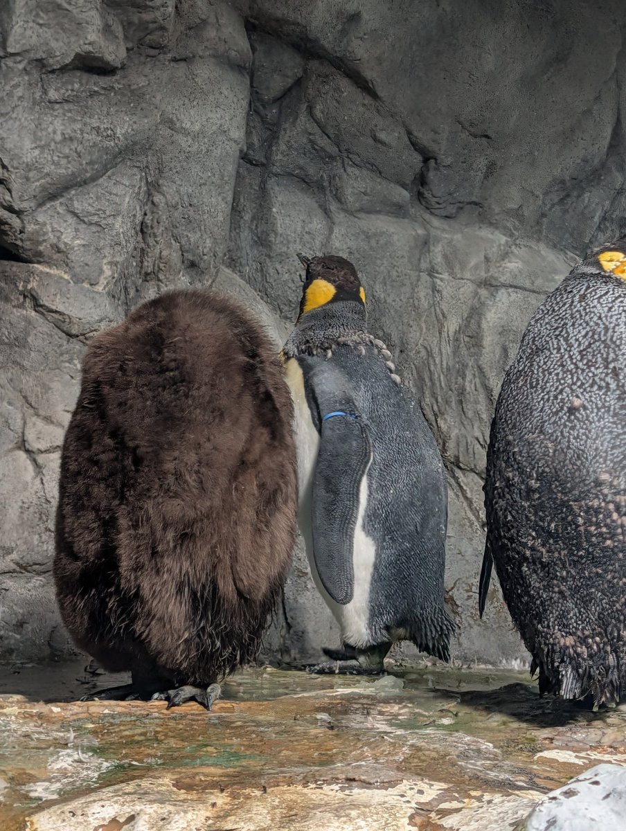 ちゃき♐ tweet media