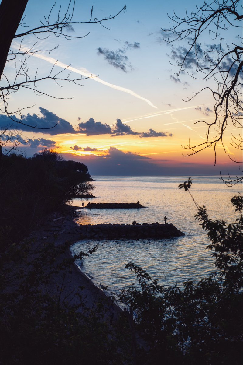 Alex Farmer tweet media