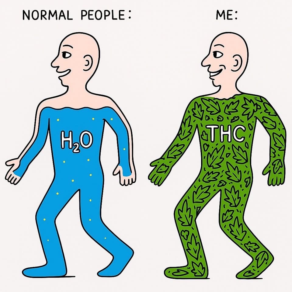 STONERS R US 🍃 tweet media