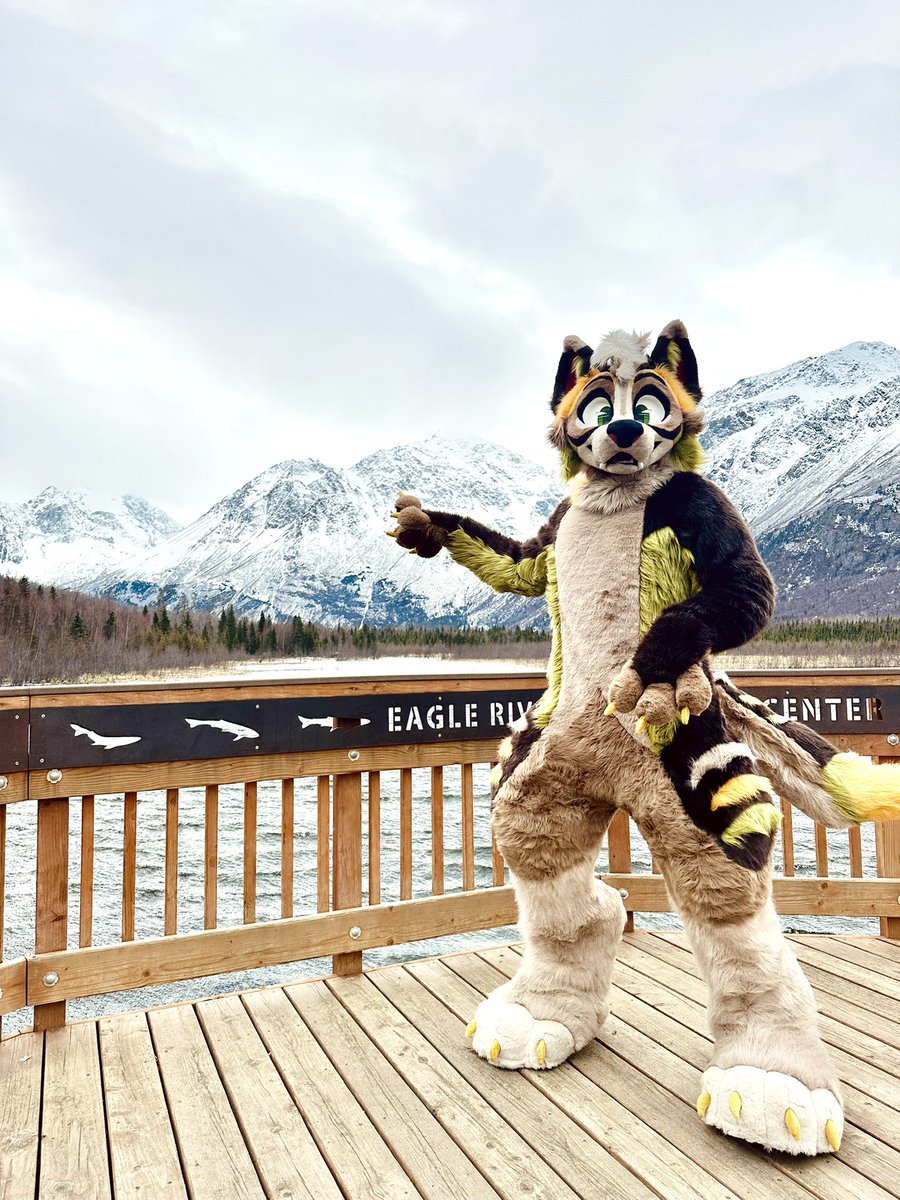 Sid ✈️ tweet media