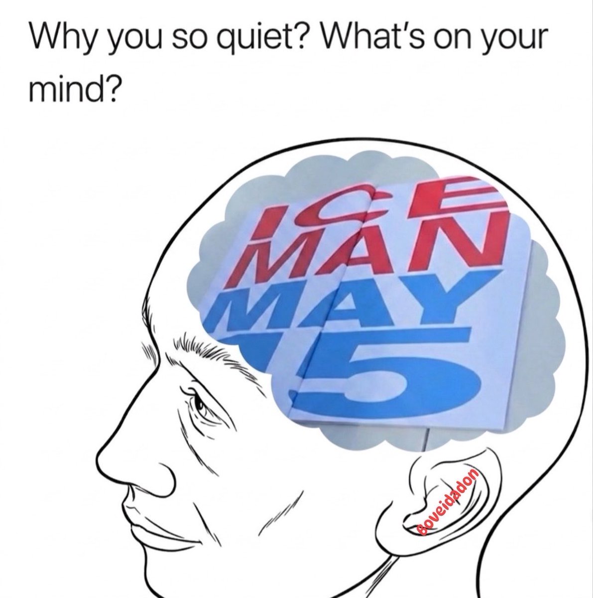 BoveiDaDon♥️🦉 tweet media