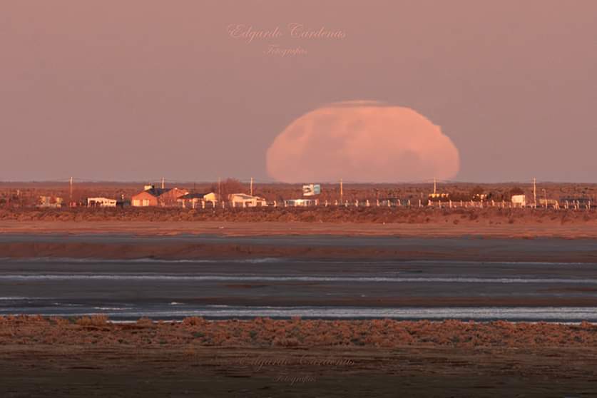 turisargentina's tweet photo. Luna llena de agosto 2024 (Luna Azul), Río Gallegos, Santa Cruz ✨🙌💫🌙🌕

Fotos de Edgardo Cárdenas Fotografía https://t.co/lB8SlN0A9f