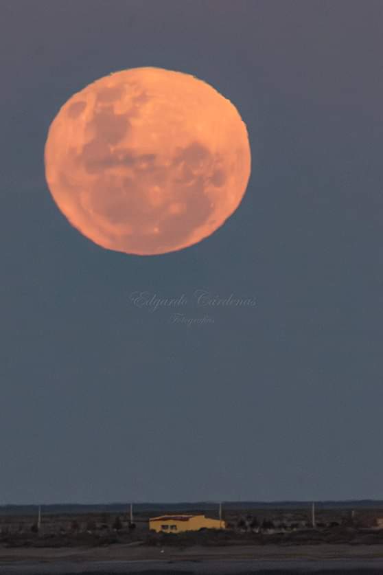 turisargentina's tweet photo. Luna llena de agosto 2024 (Luna Azul), Río Gallegos, Santa Cruz ✨🙌💫🌙🌕

Fotos de Edgardo Cárdenas Fotografía https://t.co/lB8SlN0A9f