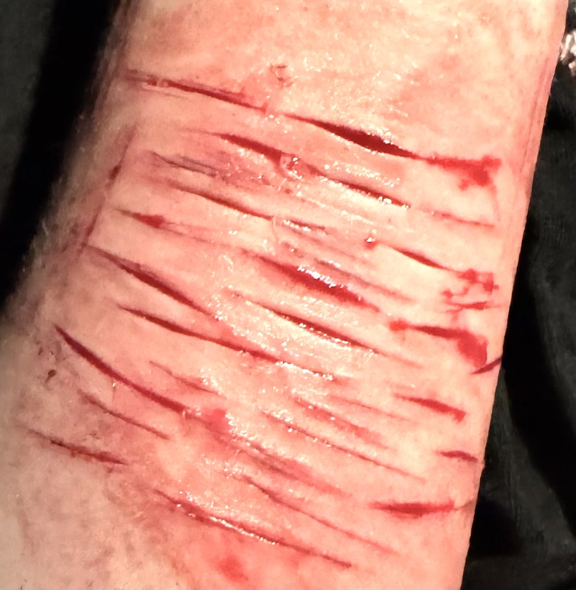 sasha // follow limit! tweet media