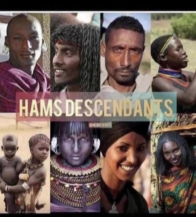 RAISRAEL2's tweet photo. The Negro Jews were more advanced in Africa than the Africans. That’s why they teamed up with the Arabs and Caucasians to sell us into slavery.. but they are a remnant of our people still living in Africa today https://t.co/sLjw1OgnEa