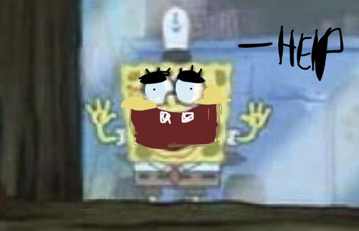 spongeboy . tweet media