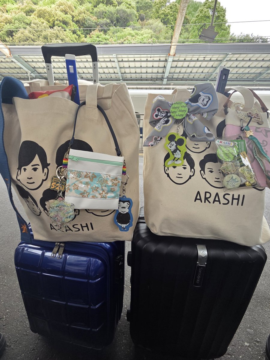 マイガール tweet media