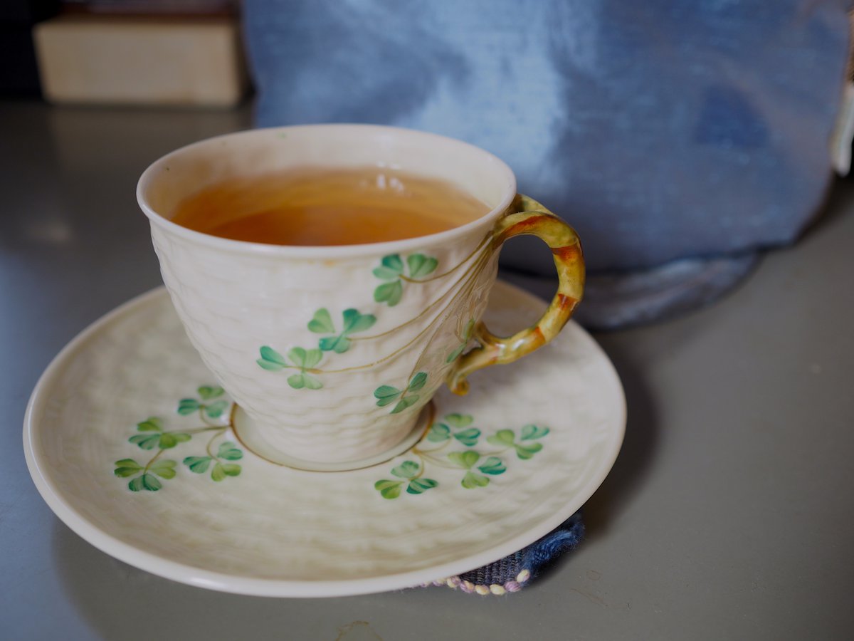 ねこうなぎ（WE） tweet media