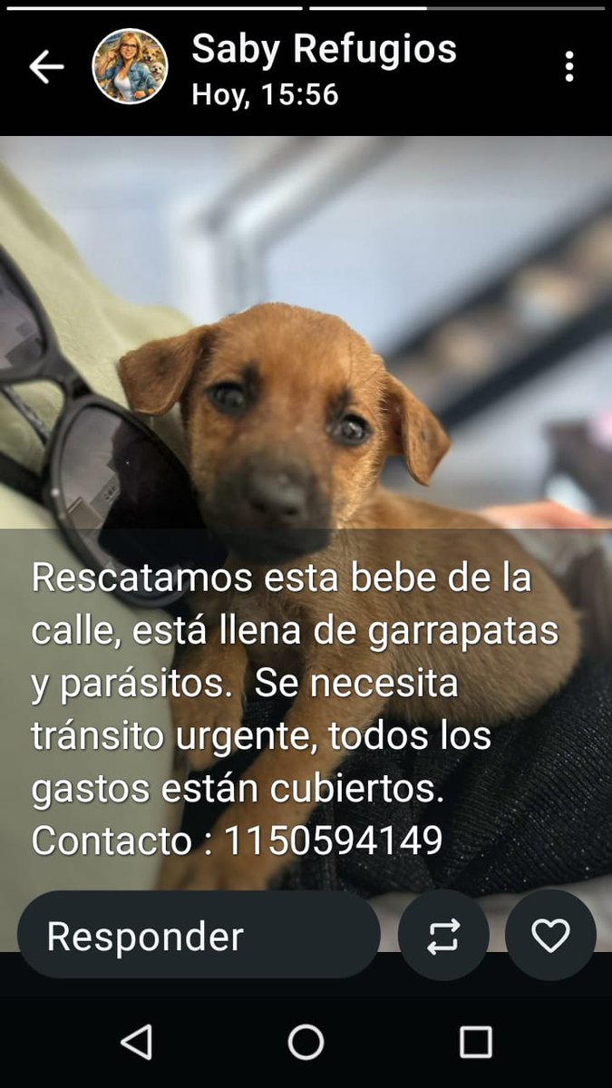 Difundimos