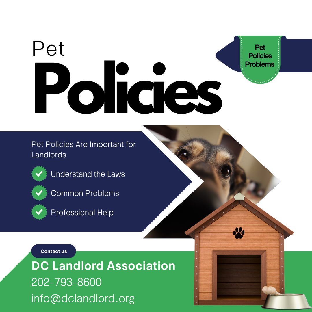 DCLandlord's tweet image. Pets can attract more tenants, but without a clear pet policy they can also create problems. Protect your property while staying complianthttps://www.dclandlord.org/blog/pets-policies-amp-problems#DCLandlord #LandlordTips #PropertyManagement #RentalHousing #RealEstateInvesting