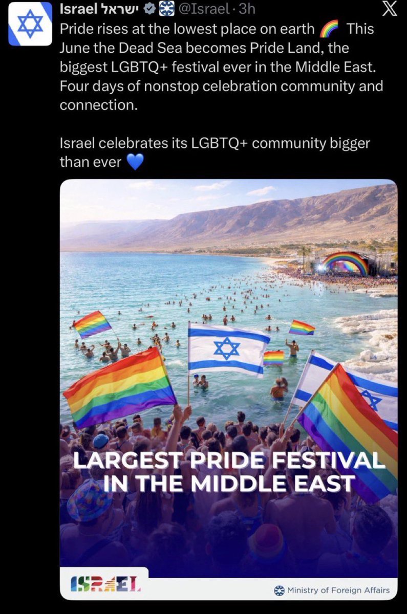 TheFox365 tweet media