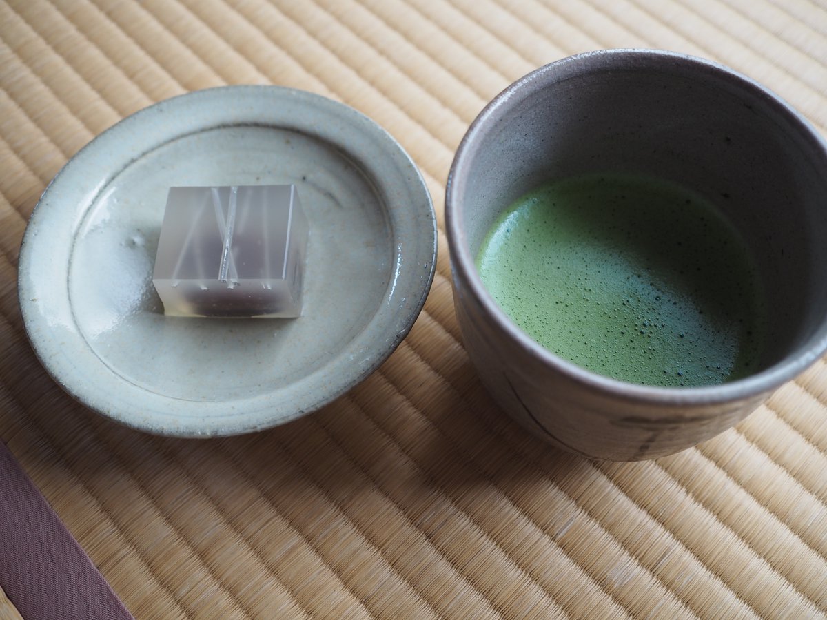 ねこうなぎ（WE） tweet media