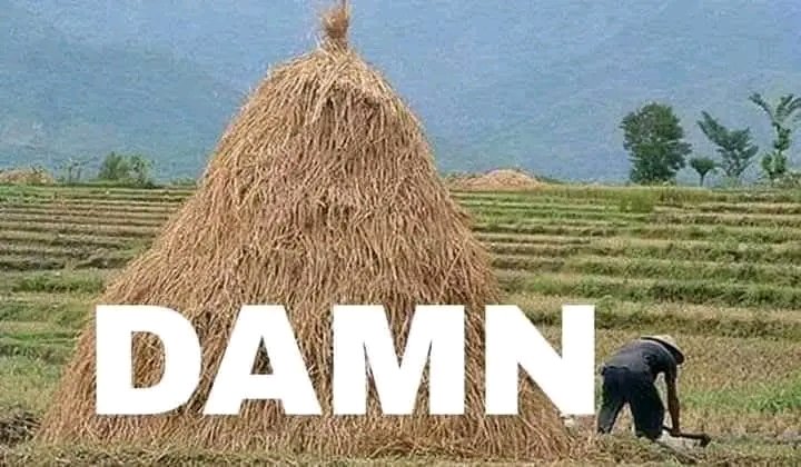 Wingz Alakazam tweet media