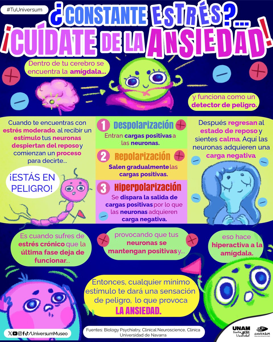 Universum Museo tweet media