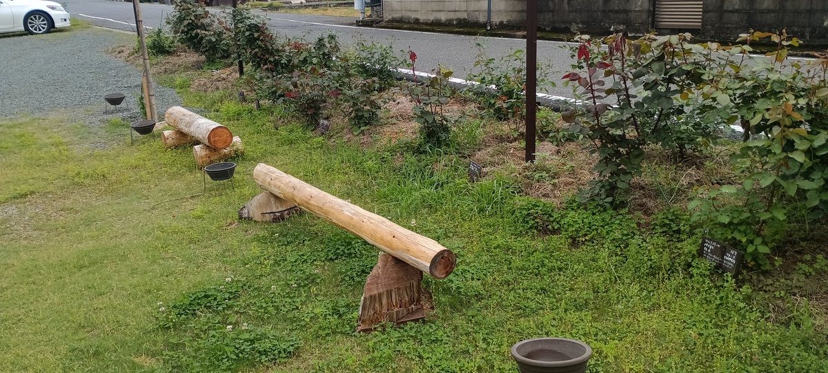adpadw1981's tweet photo. 高低差を意識して蜂を陳列しています。
あとはコンパニオンプランツが育つだけです！
#ガーデニング #バラ https://t.co/P7wHJUOwn0