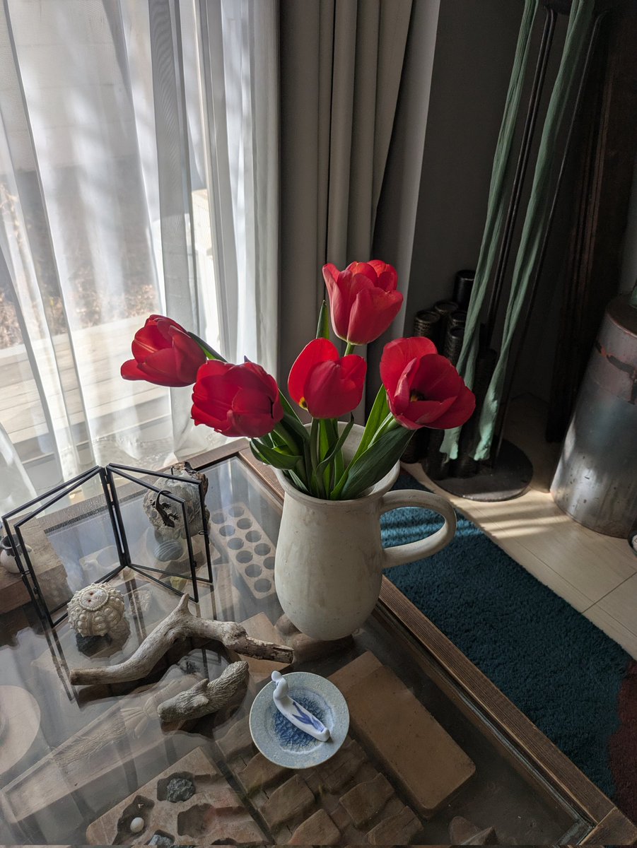 昨夜、初めて入った高円寺の飲食店でのこと。

お店の女将さんに出自を聞かれ、答える前に居合わせた街の不動産屋さんが「この人はね、台湾」と紹介した。でも私は沖縄生まれの日本国籍。台湾と深い繋がりはあるけれど、自分で説明する前に一言で括られてしまい、少し違和感が残った。