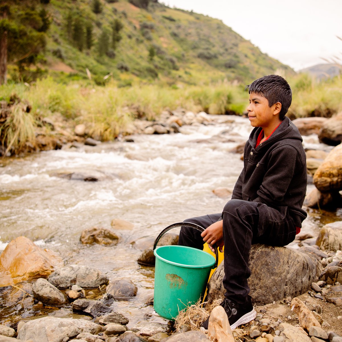 World Vision LAC tweet media