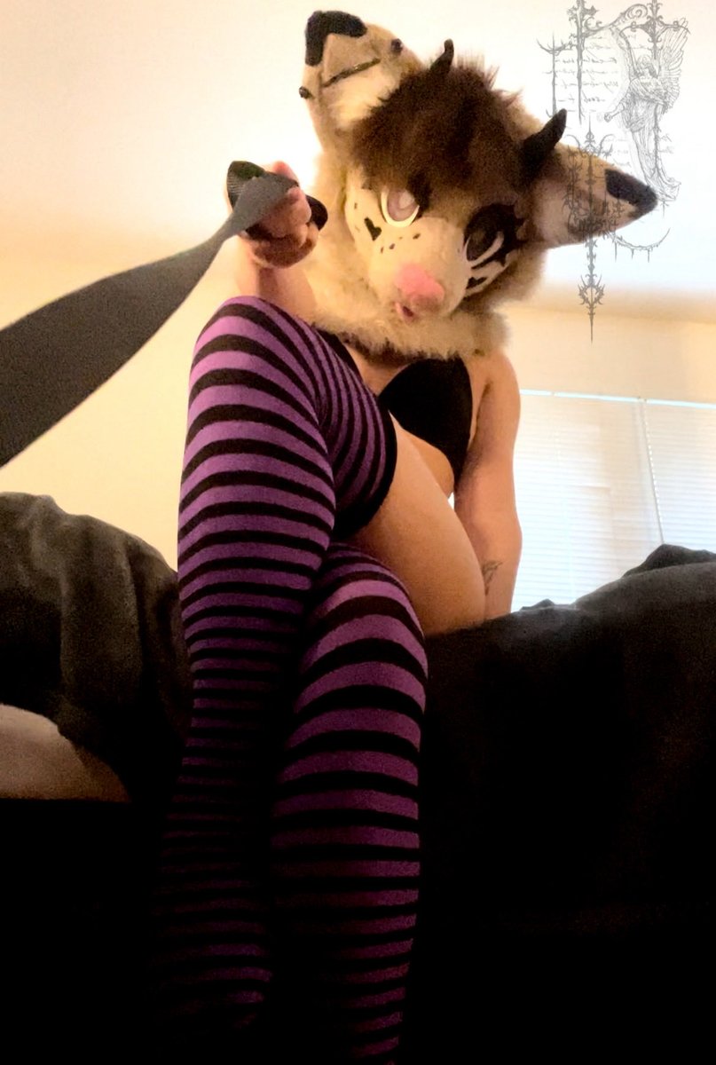 Asterfuz_AD's tweet photo. Bark doggy~🕸️
#furrygirl https://t.co/YjOcvWhLBz