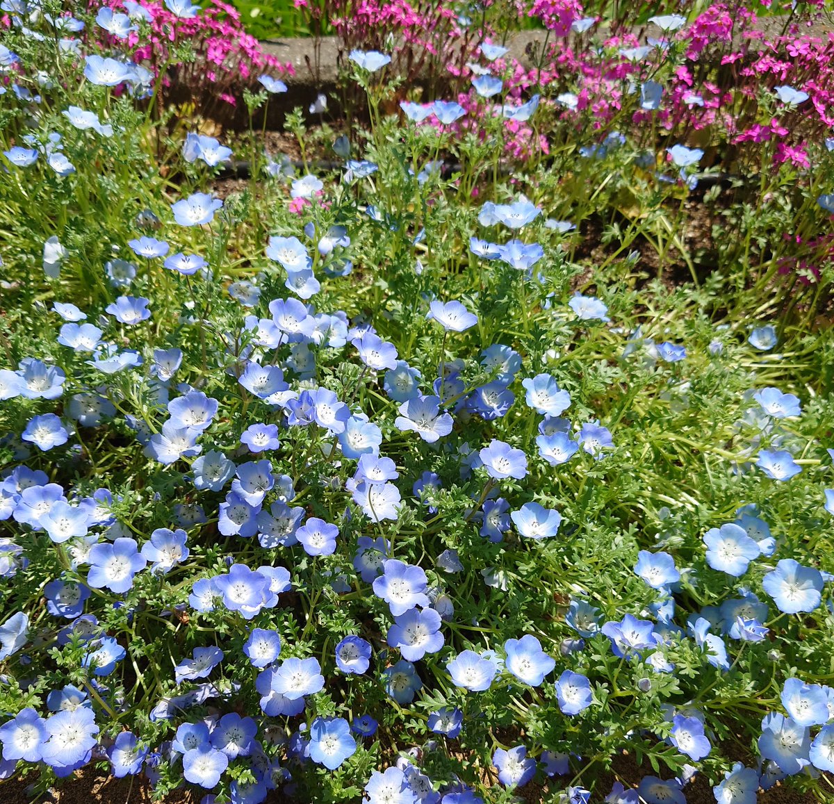 ukiuki1153's tweet photo. ラインまで落ちた所で入れたら良い結果
株価上昇で現物での取引は厳しくなってきたな https://t.co/yvCWyOssr4