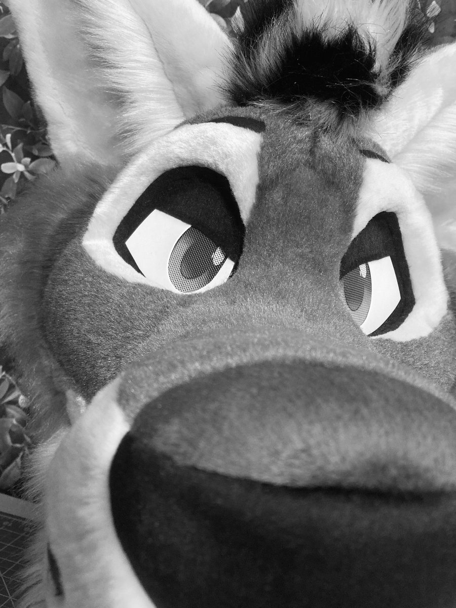 🧵MadeByPaws🪡(Coms Open) tweet media