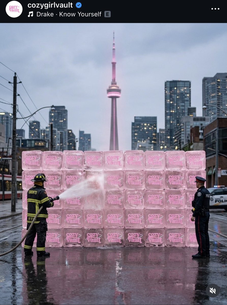 BoveiDaDon♥️🦉 tweet media