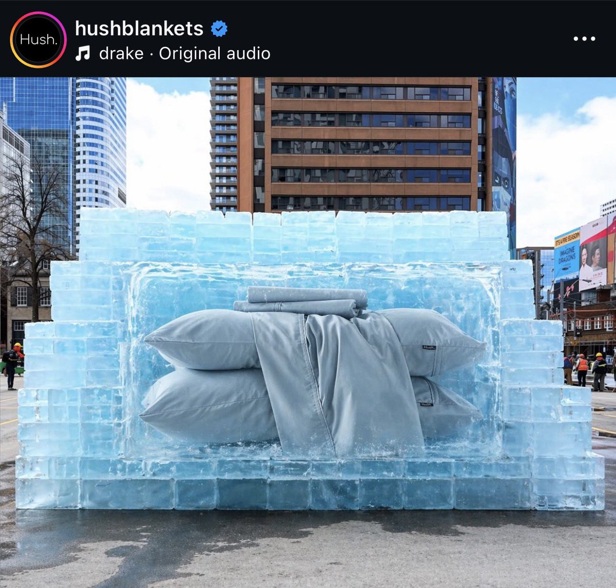 BoveiDaDon♥️🦉 tweet media