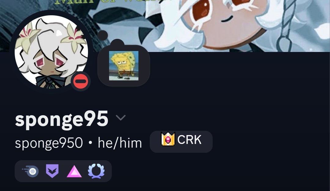 sponge95 tweet media