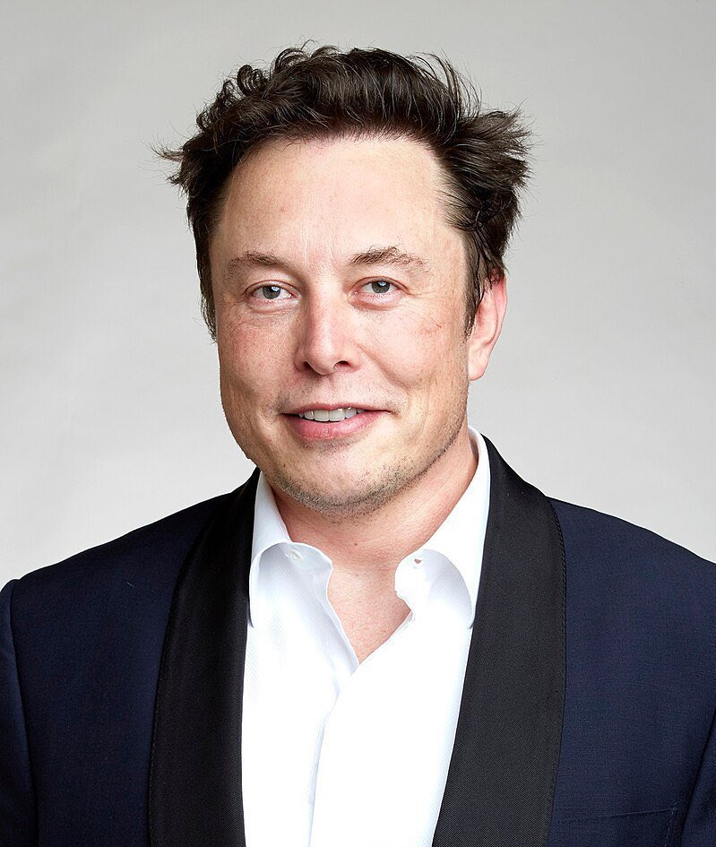 ToonHive tweet media