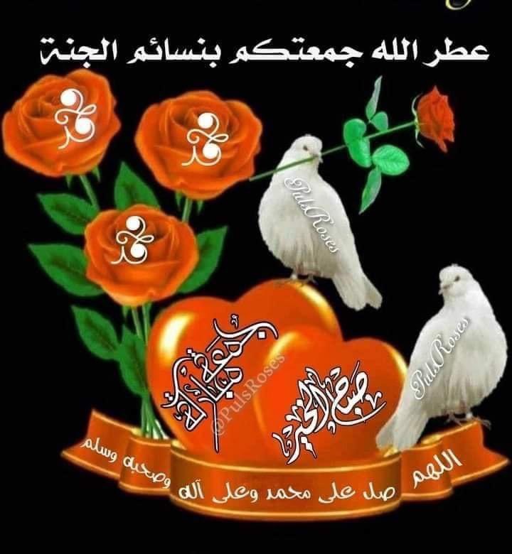 ♕زهرةالربيع♕ tweet media