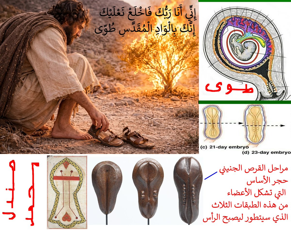 مَرْيَمُ بِنْتُ عِمْرَانَ🕋 tweet media