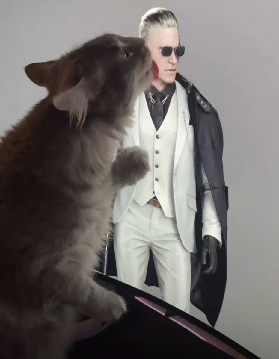 zeno🤤🤤🤤🤤🤤