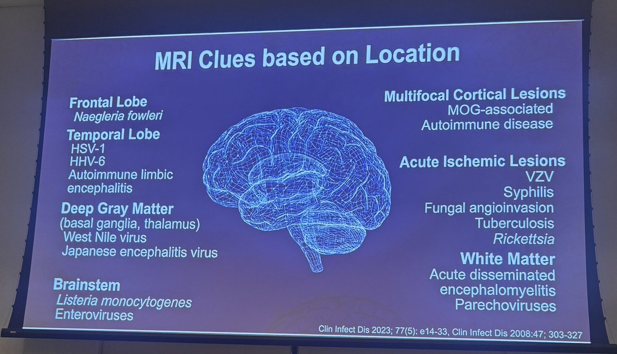 ccf_idfellows's tweet image. Fantastic IM Grand Rounds by Dr. Isada, Vice Chair and Neuro-ID expert, on a structured approach to encephalitis—integrating clinical exam, neuroimaging patterns, mNGS testing and a novel pathogen. #IDTwitter #NeuroID #MedEd