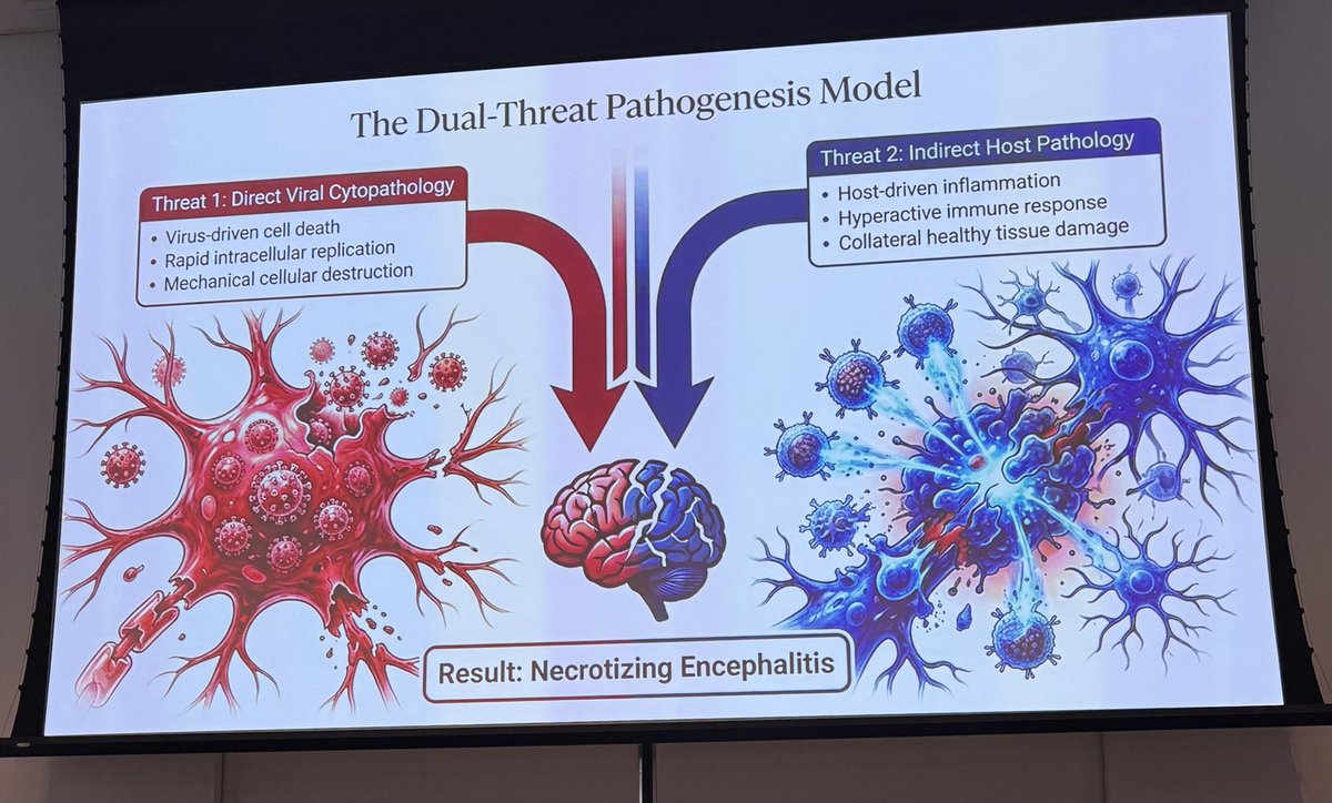 ccf_idfellows's tweet image. Fantastic IM Grand Rounds by Dr. Isada, Vice Chair and Neuro-ID expert, on a structured approach to encephalitis—integrating clinical exam, neuroimaging patterns, mNGS testing and a novel pathogen. #IDTwitter #NeuroID #MedEd