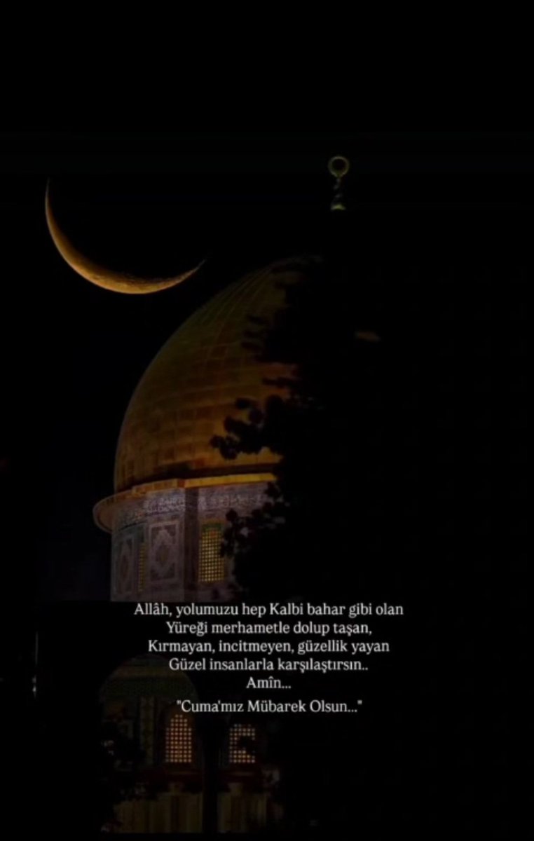 Seher Okur tweet media