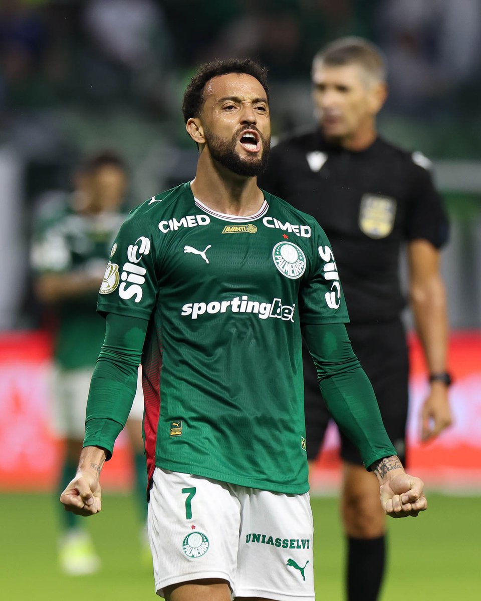 Comemora, meu 7️⃣! 💚