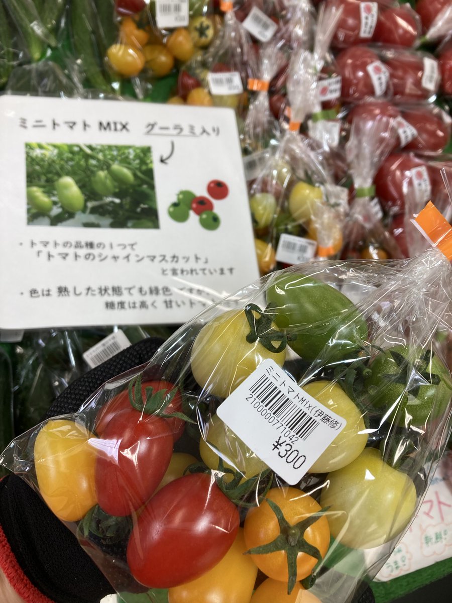 今日のおすすめはこちら^ ^！ 静岡市清水区草薙 伊藤さんちのグーラミ