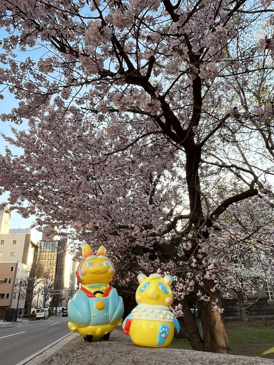 サミソン教授 tweet media