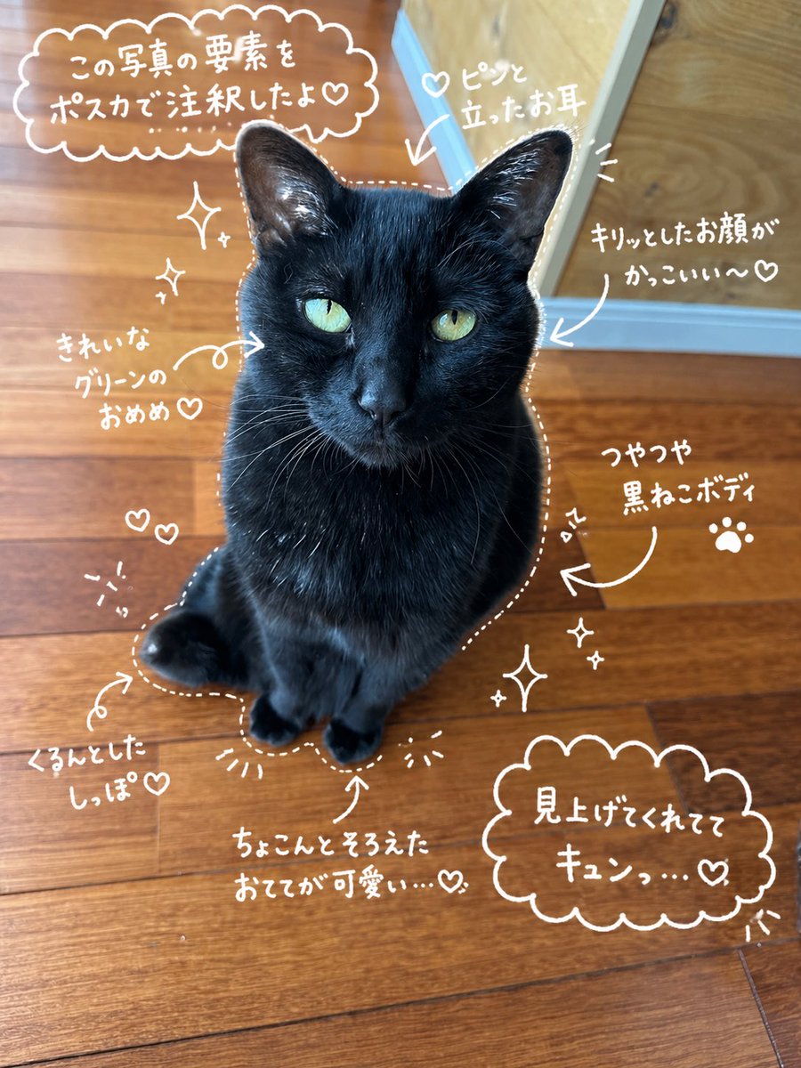 neconeneco's tweet photo. 流行りのやーつやってみた
かわいい https://t.co/t45P2x8vGk