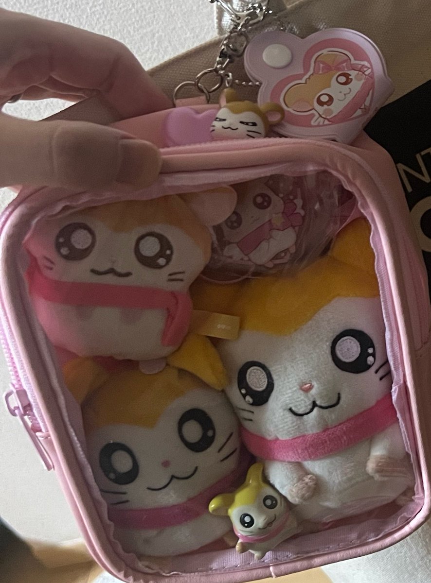 ぐんせん tweet media